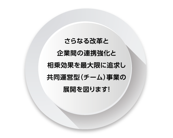 共同運営型(チーム)事業